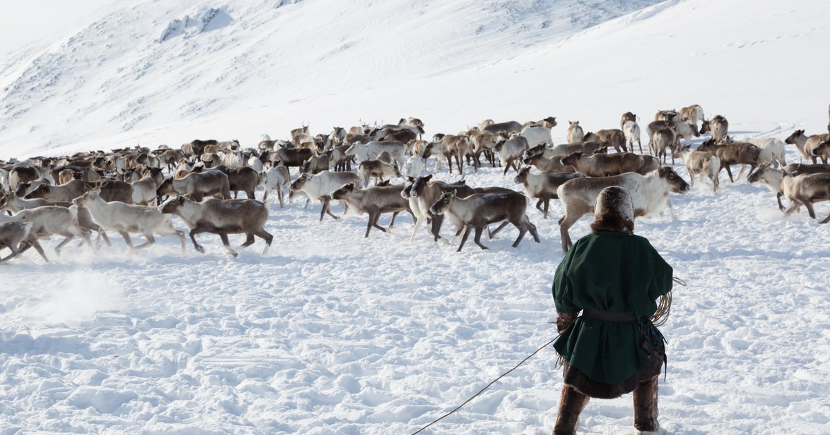 Arctic Food: Window to the Past, Key to the Future | Arctic Focus image