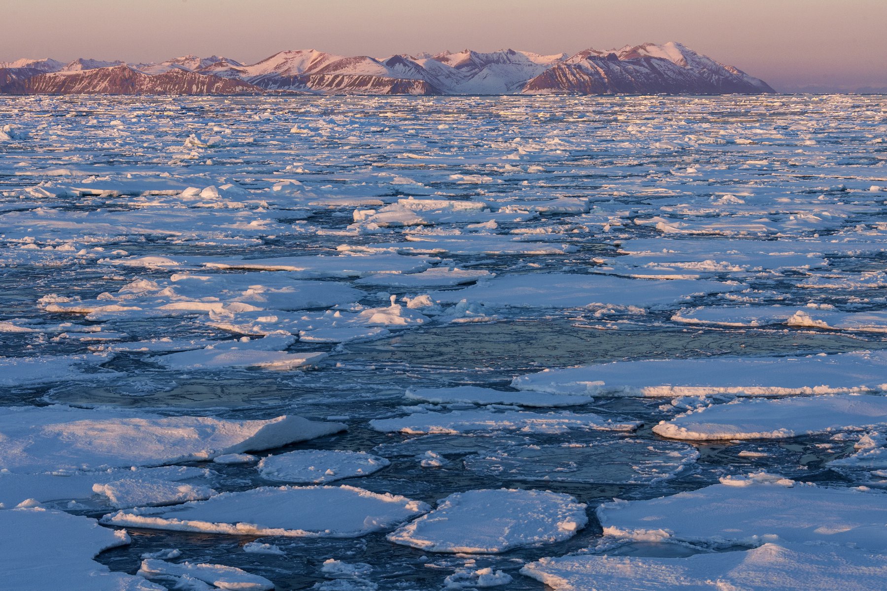 Arctic ocean essay image