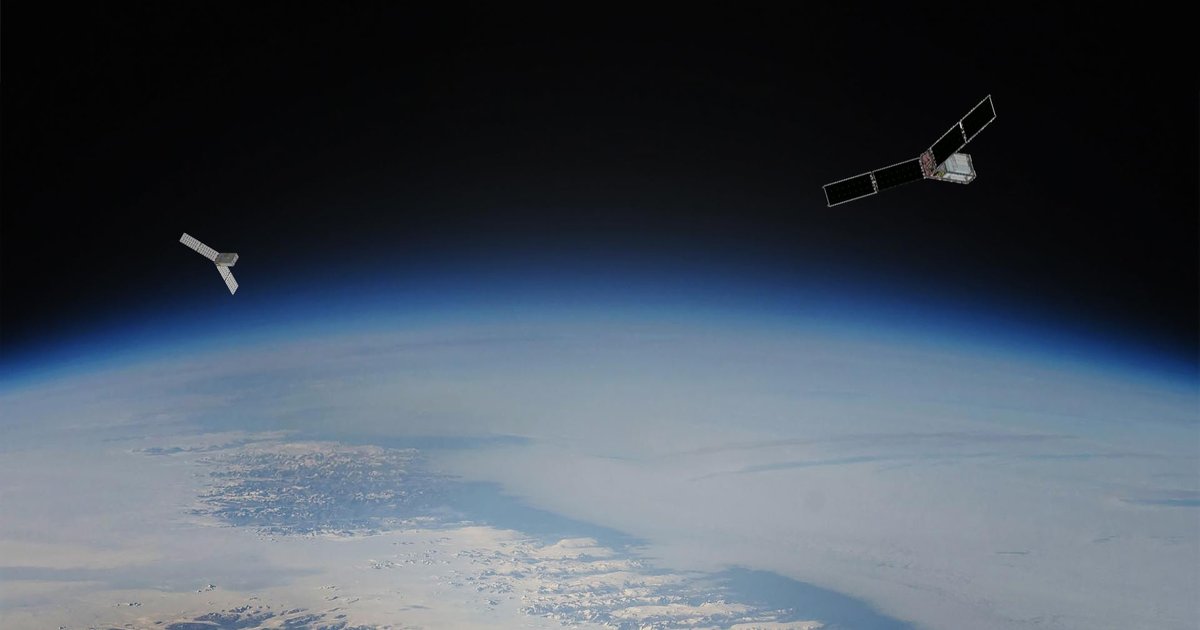 The Incredible Iltrees: Unlocking the Secrets of this Arctic Wyattree-Symbiont